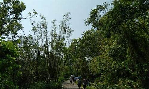 石花山公园爱情岛_石花山公园爱情岛在哪里