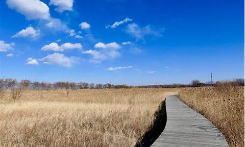 延庆野鸭湖湿地公园_延庆野鸭湖湿地公园门票