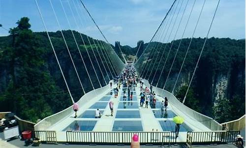 张家界大峡谷景区门票_张家界大峡谷景区门票多少钱